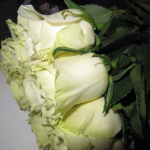Букет из 25 белых роз