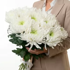 ����� ����������� ���������� ������