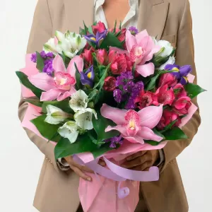 ����� �� ������ � ��������� � �������������� ��������