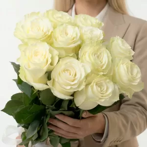 ����� �� 11 ����� ���