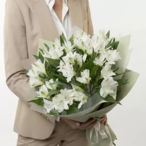 ����� �� ����� ������������