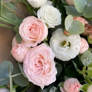 ����� �� �������� ����������� ��� � �����������