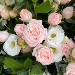 ����� �� �������� ����������� ��� � �����������