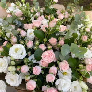 ����� �� �������� ����������� ��� � �����������