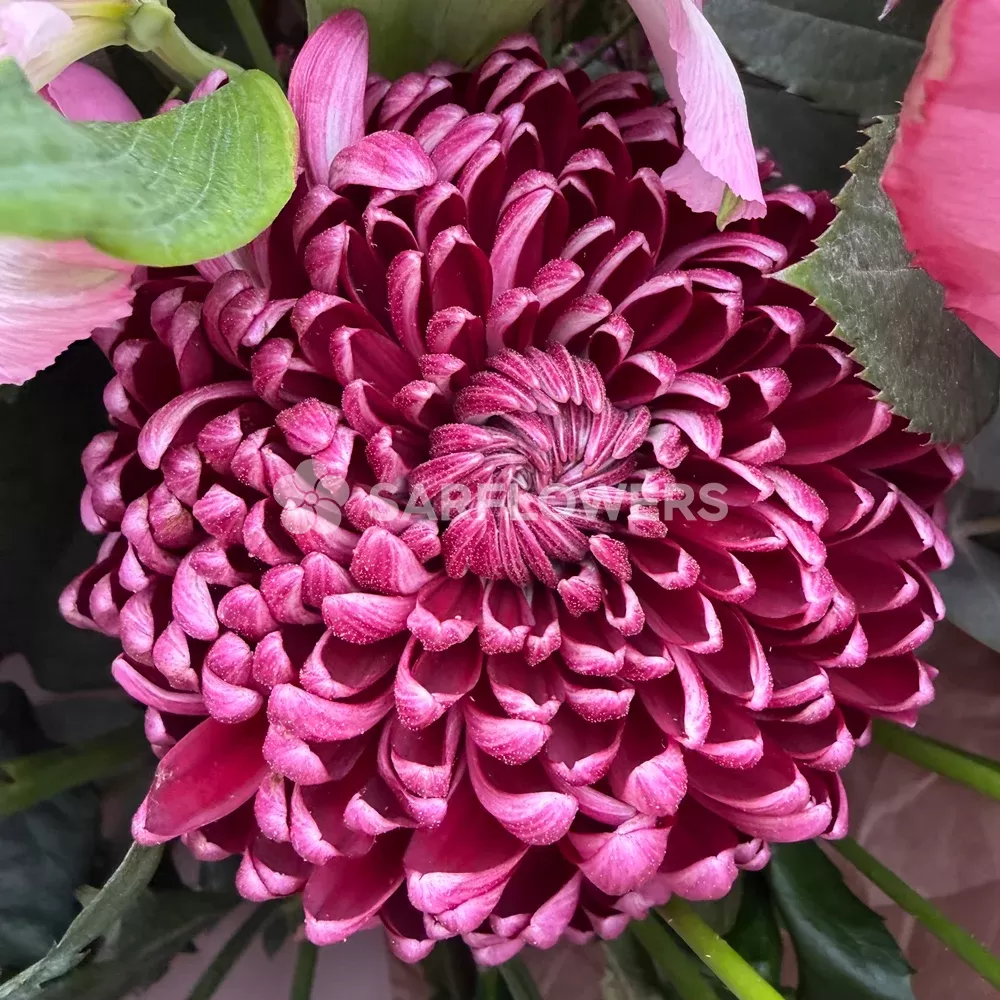 ����� � ������, ������������, ������������� � ����������