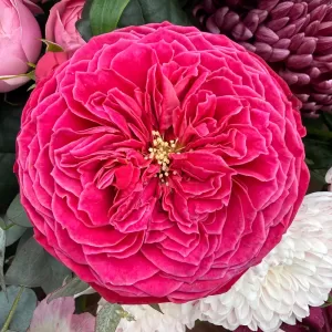 ����� � ������, ������������, ������������� � ����������