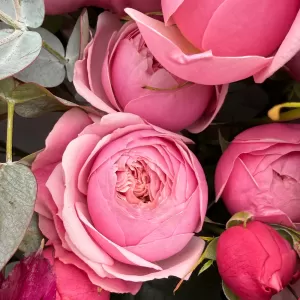 ����� � ������, ������������, ������������� � ����������