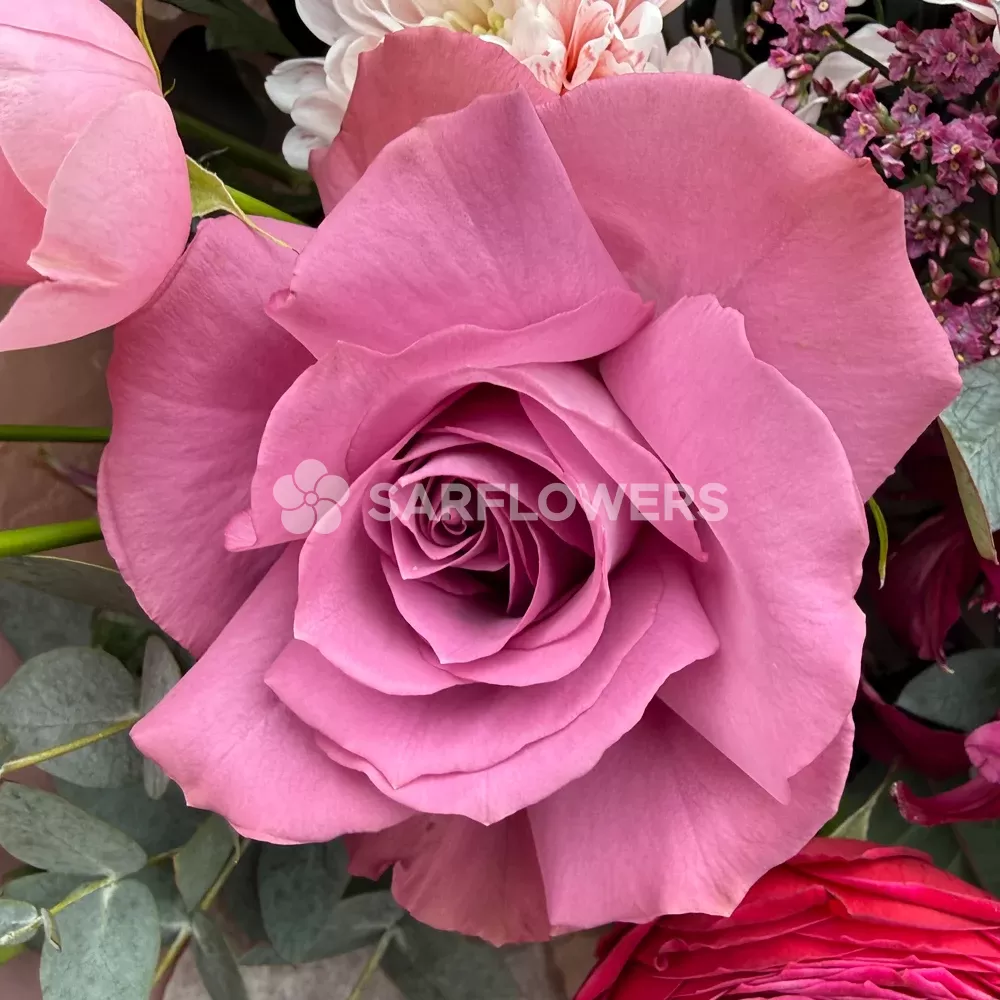 ����� � ������, ������������, ������������� � ����������