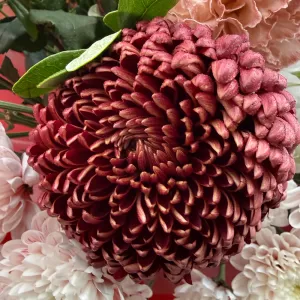 ����� � ������, ������������, ����������, �����������, ����������