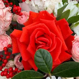 ����� � ������, ������������, ����������, �����������, ����������