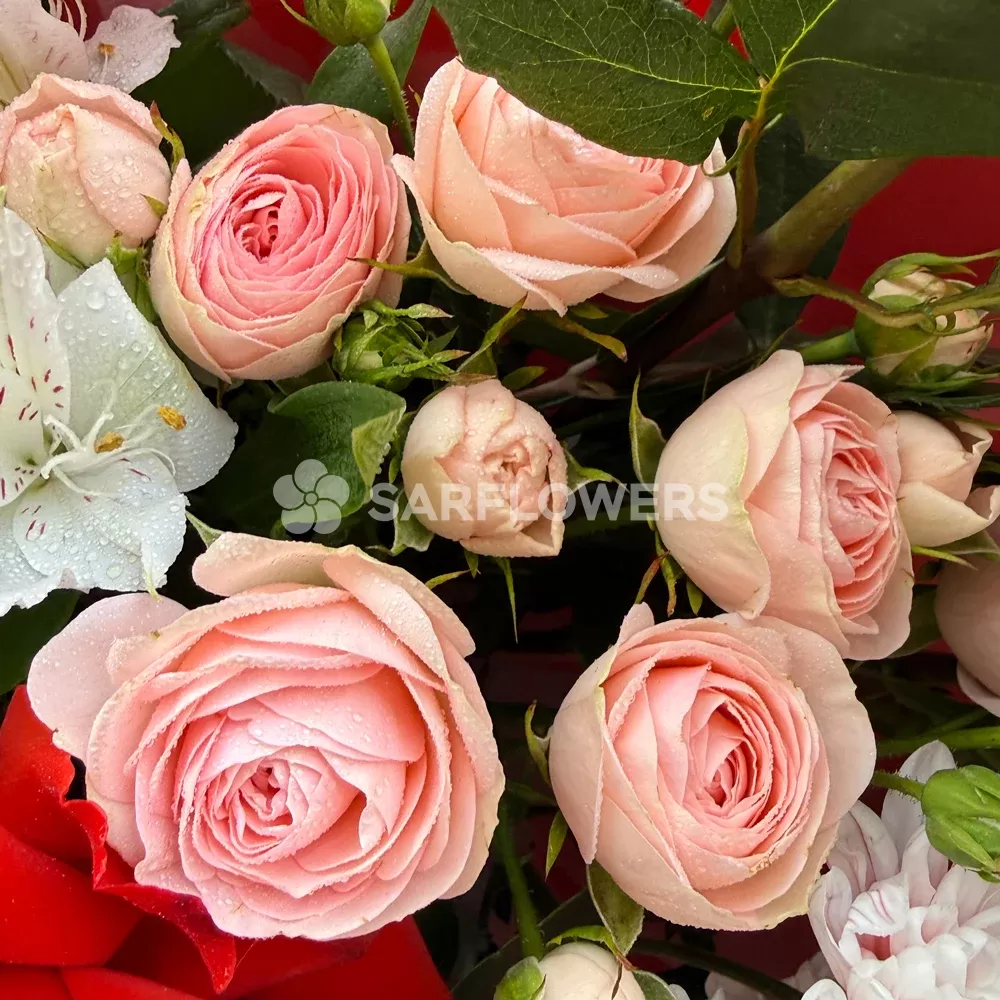 ����� � ������, ������������, ����������, �����������, ����������