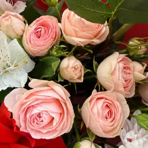 ����� � ������, ������������, ����������, �����������, ����������