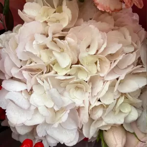 ����� � ������, ������������, ����������, �����������, ����������