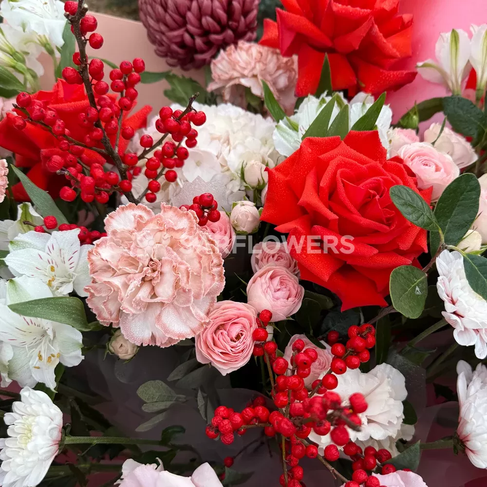 ����� � ������, ������������, ����������, �����������, ����������