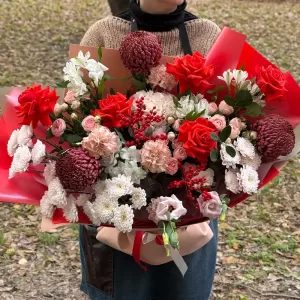 ����� � ������, ������������, ����������, �����������, ����������