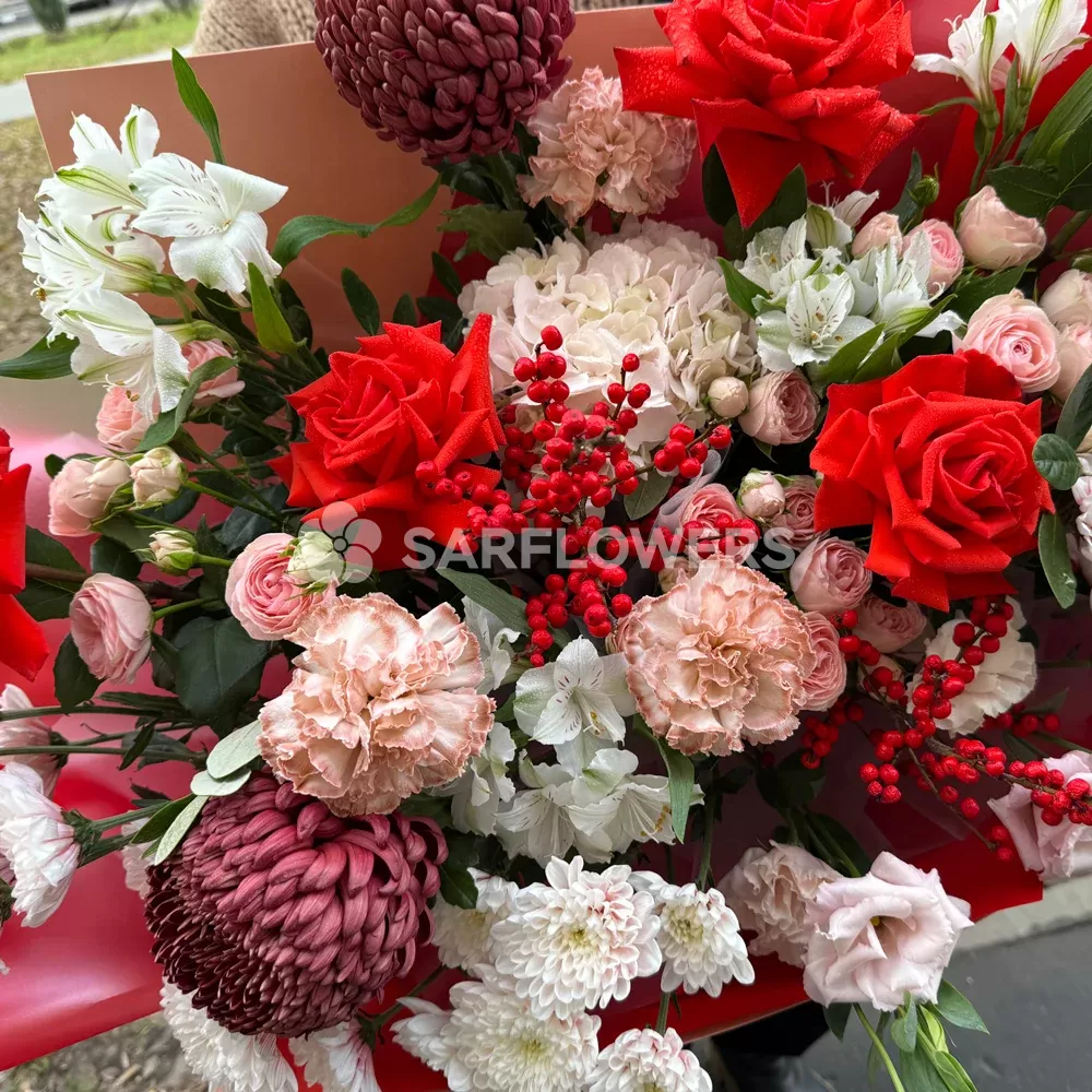 ����� � ������, ������������, ����������, �����������, ����������