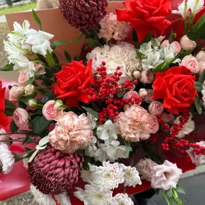 ����� � ������, ������������, ����������, �����������, ����������