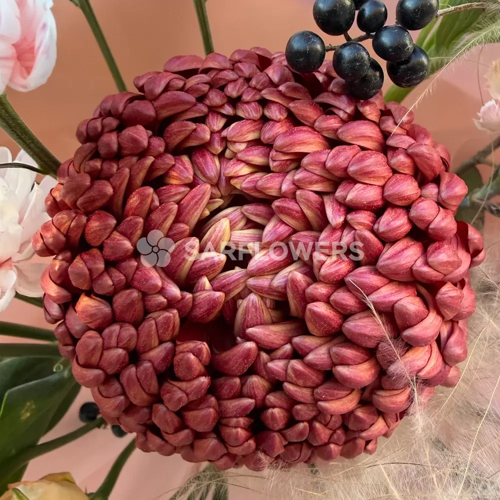 ����� �� ���������� ������ � ��������, ����������, ��������, ������������