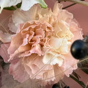 ����� �� ���������� ������ � ��������, ����������, ��������, ������������