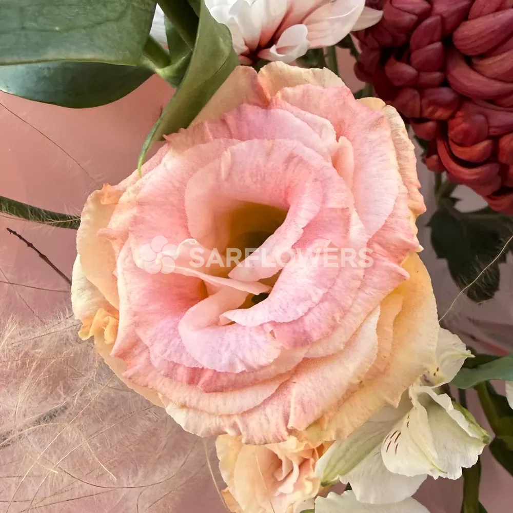 ����� �� ���������� ������ � ��������, ����������, ��������, ������������