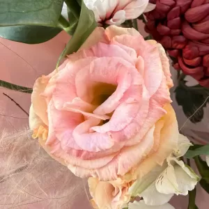 ����� �� ���������� ������ � ��������, ����������, ��������, ������������