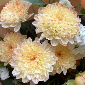 ����� �� ���, �������� ���������, �������� � ������������