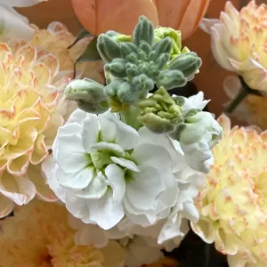 ����� �� ���, �������� ���������, �������� � ������������