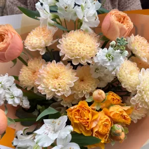 ����� �� ���, �������� ���������, �������� � ������������