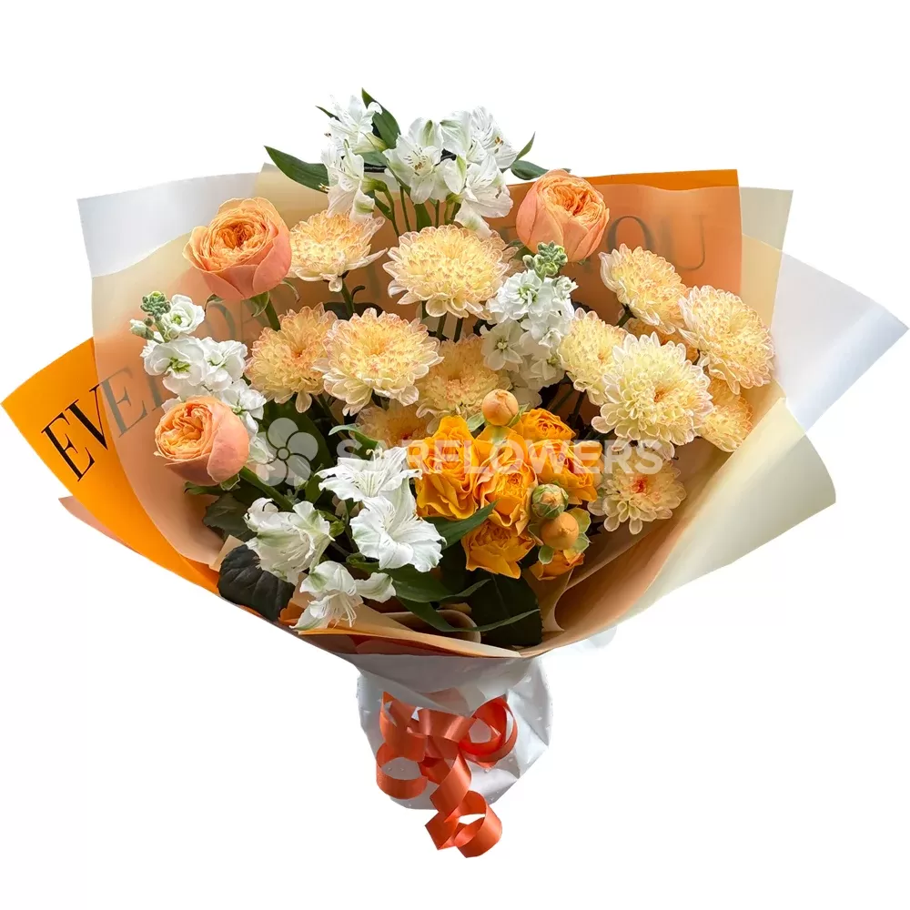 ����� �� ���, �������� ���������, �������� � ������������