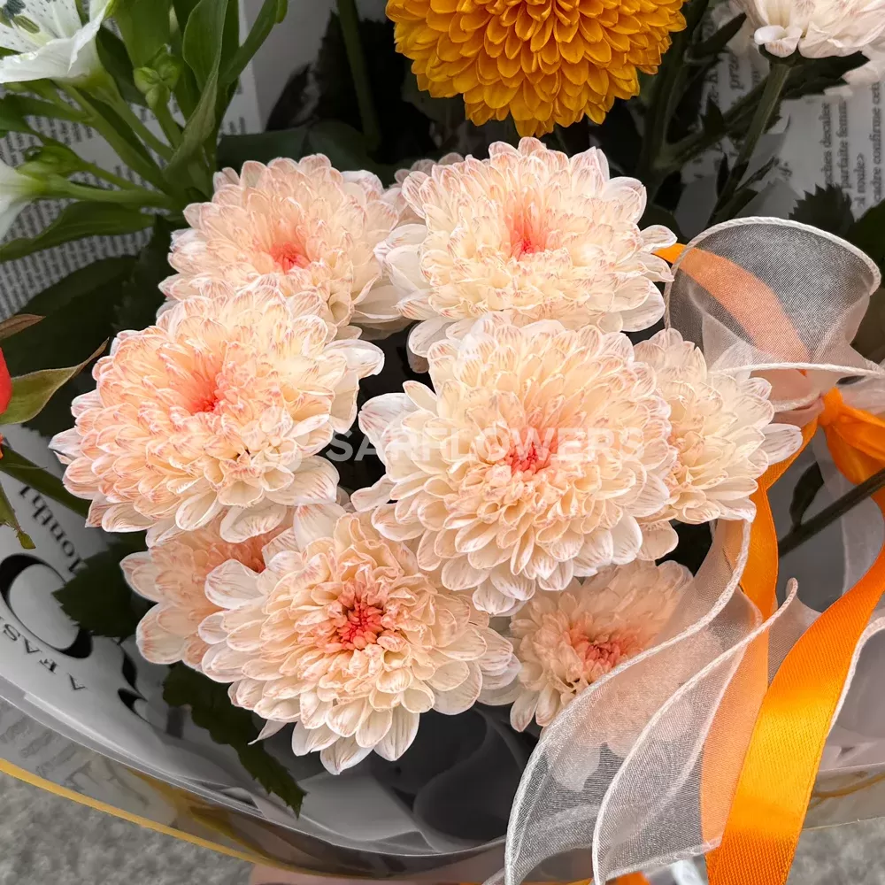 ����� ������� ����� �� ������