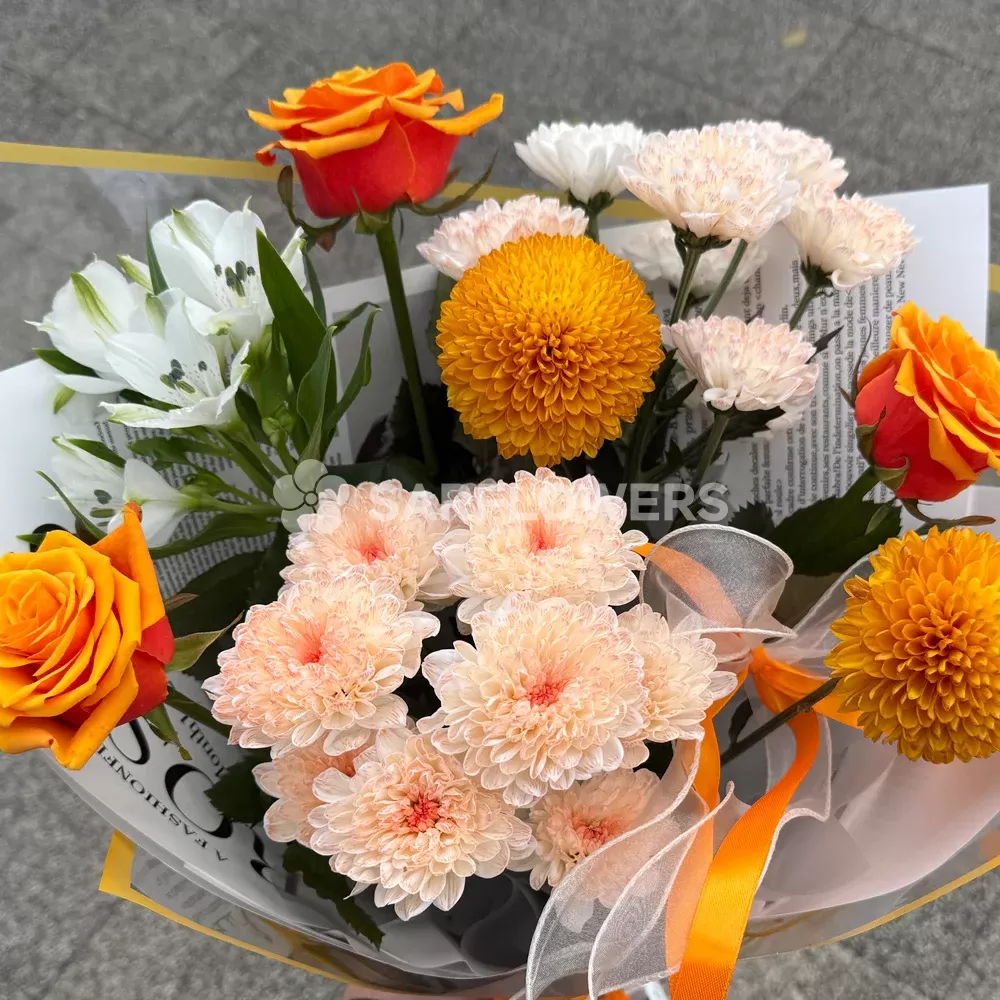 ����� ������� ����� �� ������