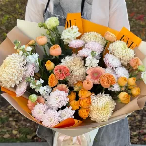 ����� � ������������, ������������ ������, �������� � ���������