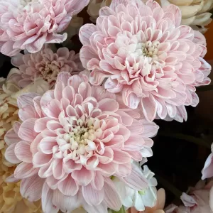 ����� � ������������, ������������ ������, �������� � ���������