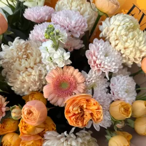 ����� � ������������, ������������ ������, �������� � ���������