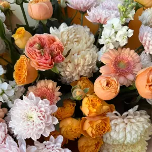 ����� � ������������, ������������ ������, �������� � ���������