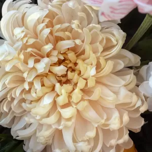 ����� � ������������, ������������ ������, �������� � ���������