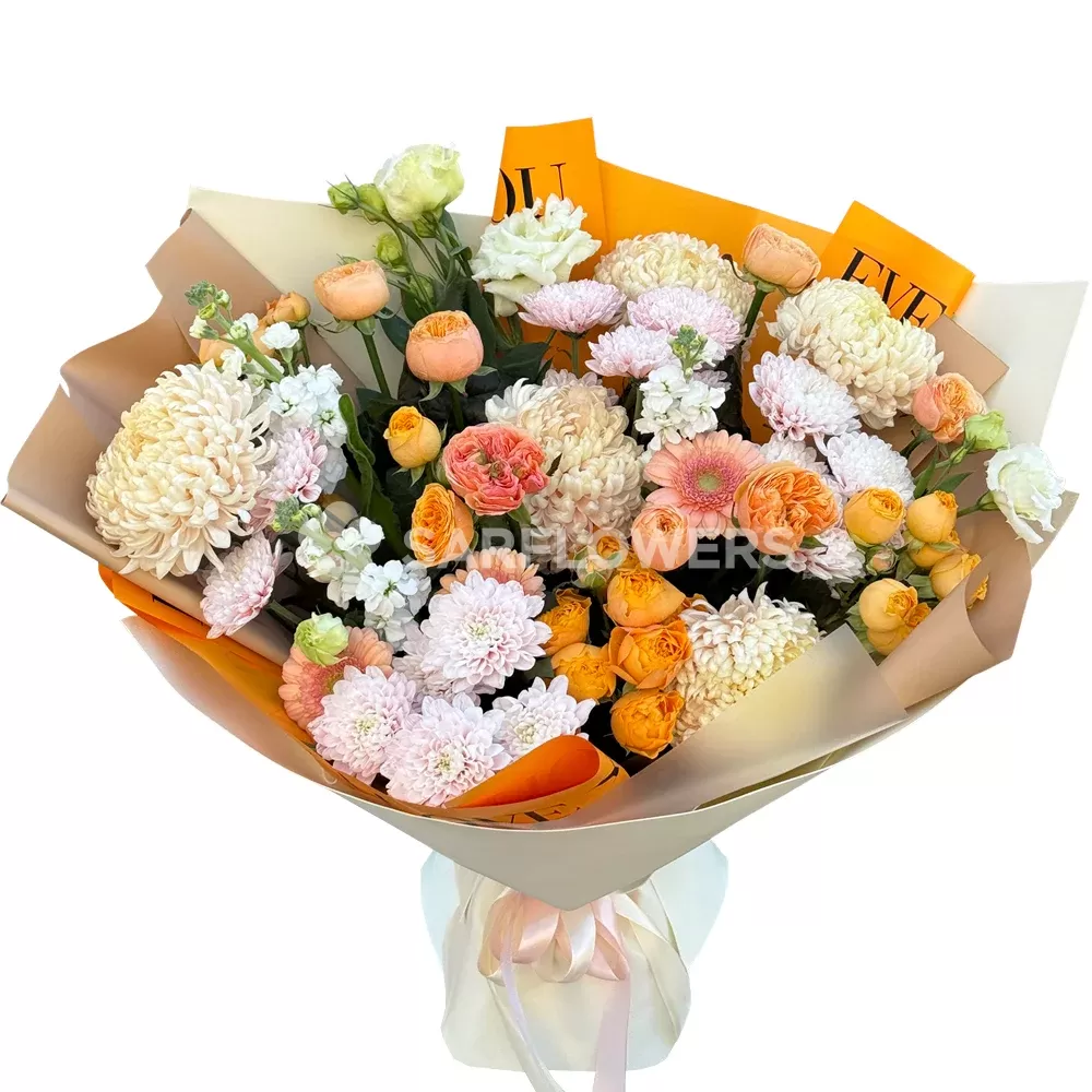 ����� � ������������, ������������ ������, �������� � ���������