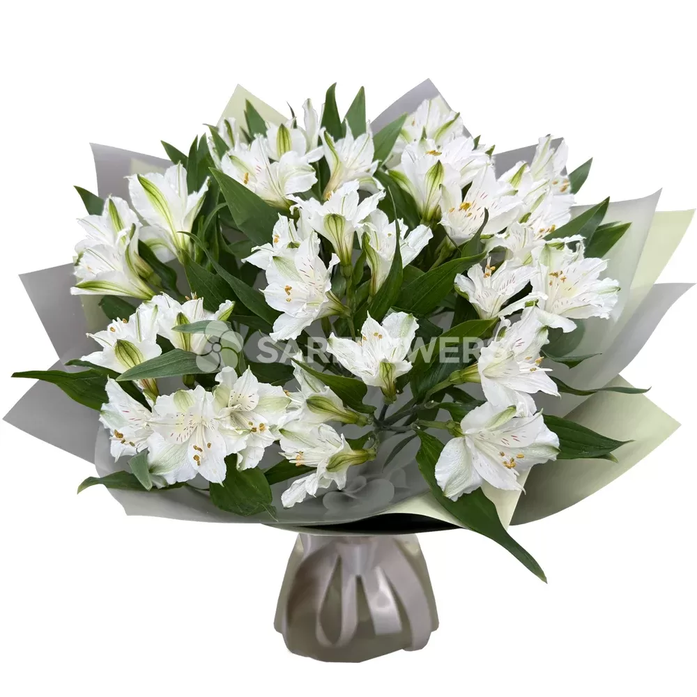 ����� �� ����� ������������