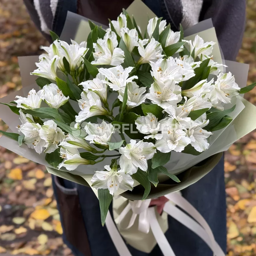 ����� ������������ � ��������