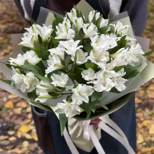 ����� ������������ � ��������