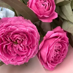   380
