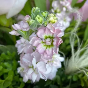    409