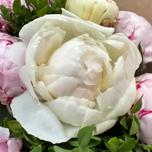   19  
