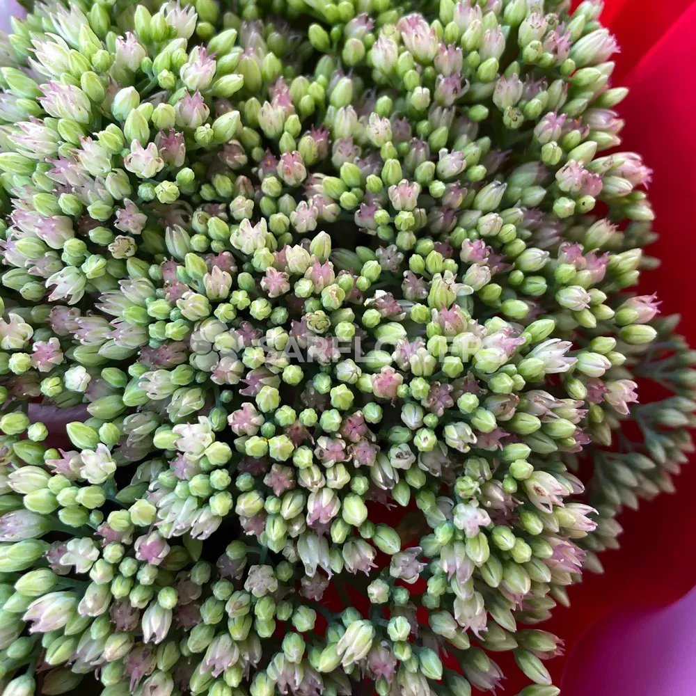   417