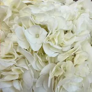   , , , 
