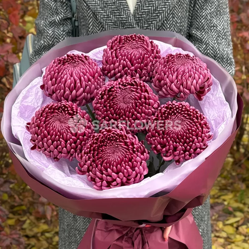 ����� �� �������� ���������� ���������