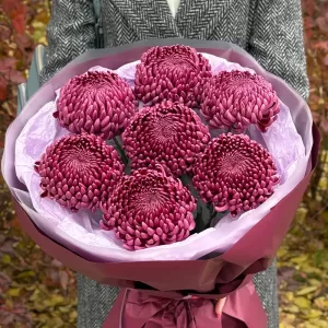 ����� �� �������� ���������� ���������