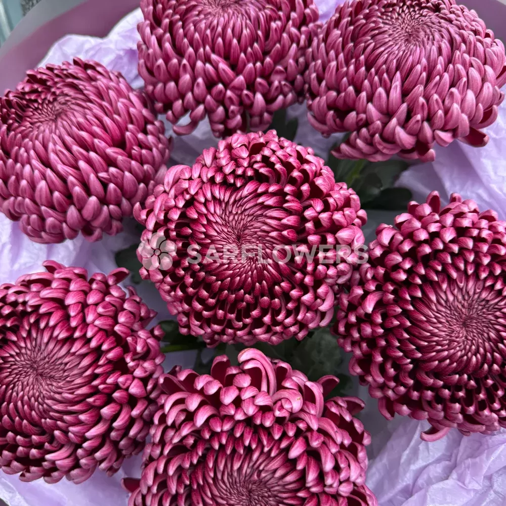 �������� ���������� ����������