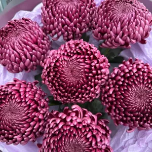 �������� ���������� ����������