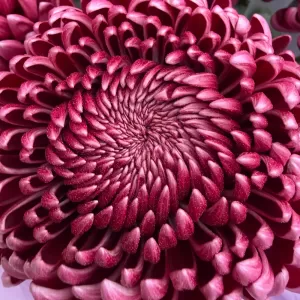 ���������� ����������